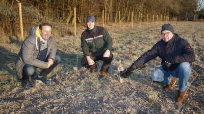 Auf einer 0,3 Hektar groen Flche forstet wir gemeinsam mit dem Forstamt Langen weiter klimagerecht auf. Gemeinsam mit unserem Revierfrster haben wir uns das Ergebnis unsere Pflanzaktion mit 2000 Bumen angesehen.