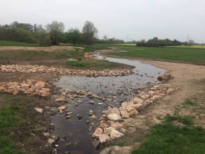 Erfolgreiche Renaturierung, der Graben wieder in einem naturnahen Bett ...